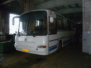 Автобус ПАЗ 423002 Аврора